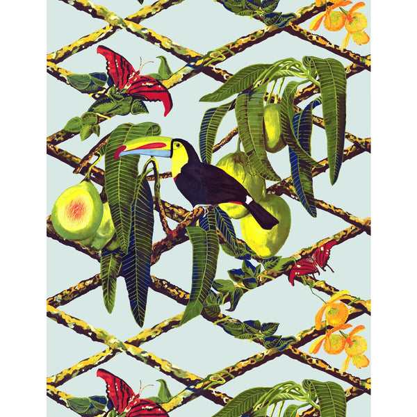 Tucan - Original Multi By Gaston Y Daniela | Gaston Libreria |Animal/Insects Tropical Wallcovering Print