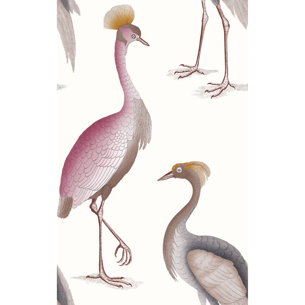 Garzas Blanco | Gaston Y Daniela