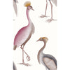 Garzas Blanco | Gaston Y Daniela