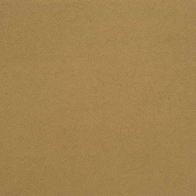Samples and Purchasing available for Kravet Design - Genslar-16 Beige By Kravet Design |  |Solid Texture Upholstery Vinyl/Faux Leather at Designer Wallcoverings and Fabrics