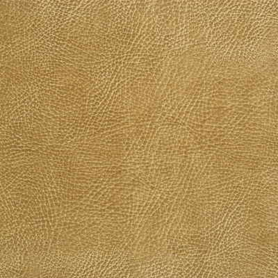 Samples and Purchasing available for Kravet Design - Glendale-16 Beige By Kravet Design |  |Solid Texture Upholstery Vinyl/Faux Leather at Designer Wallcoverings and Fabrics