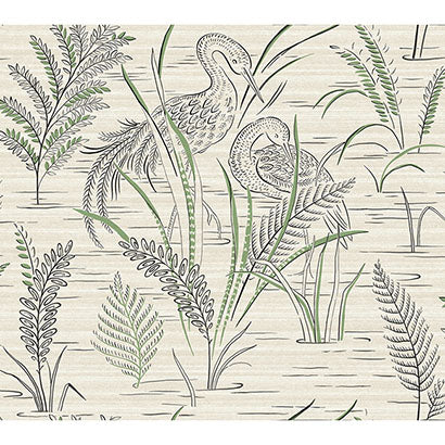 Fernwater Cranes Wallpaper | Jeffrey Stevens