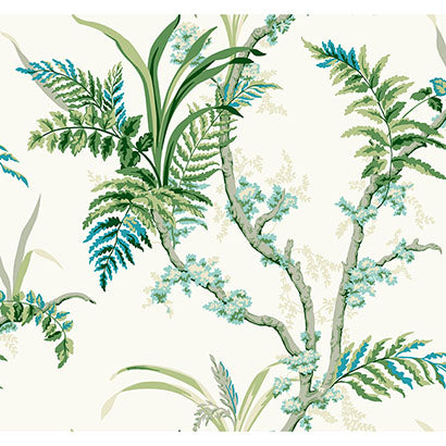 Enchanted Fern Wallpaper | Jeffrey Stevens