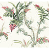 Enchanted Fern Wallpaper | Jeffrey Stevens