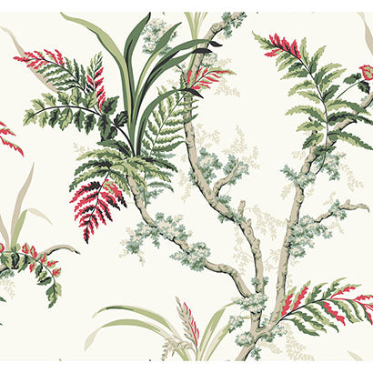 Enchanted Fern Wallpaper | Jeffrey Stevens