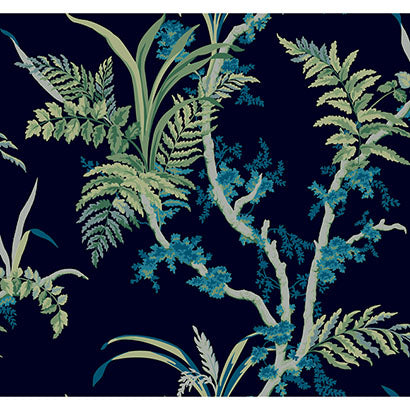 Enchanted Fern Wallpaper | Jeffrey Stevens