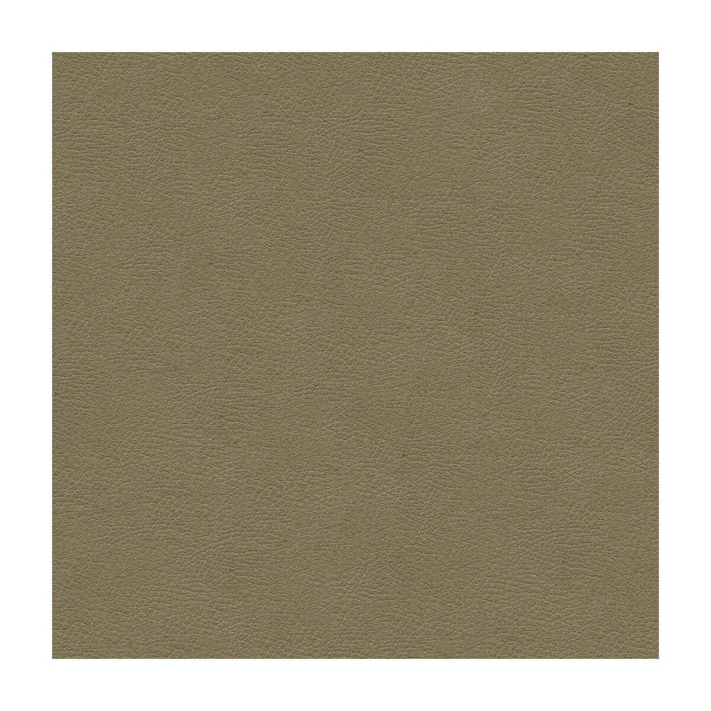 Samples and Purchasing available for Kravet Design - Grana-11 Grey By Kravet Design | Ultraleather Plus Iv |Solid Texture Upholstery Indoor / Outdoor at Designer Wallcoverings and Fabrics