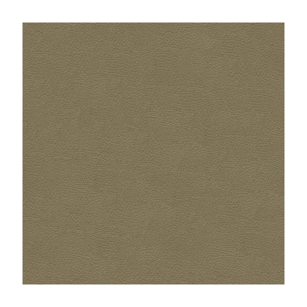 Samples and Purchasing available for Kravet Design - Grana-11 Grey By Kravet Design | Ultraleather Plus Iv |Solid Texture Upholstery Indoor / Outdoor at Designer Wallcoverings and Fabrics