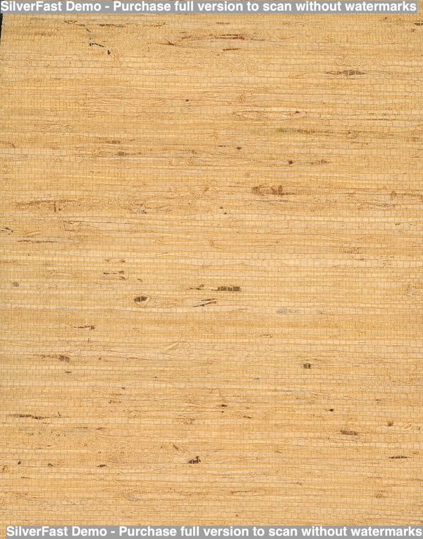 Avorio Sand Grasscloth Wallcovering | Fentucci