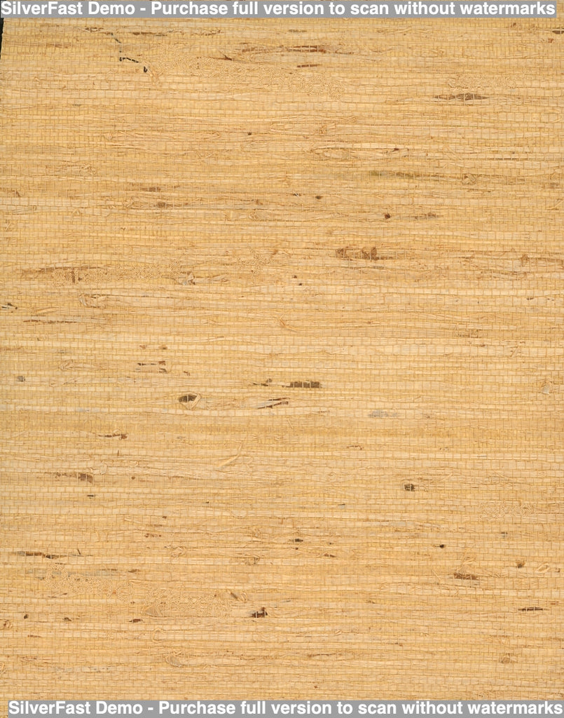 Avorio Sand Grasscloth Wallcovering | Fentucci