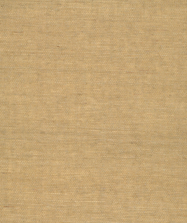 Velluto Wheat Metallic Grasscloth Wallcovering | Fentucci
