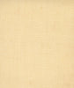Verona Butter Micro Grasscloth Wallcovering | Fentucci