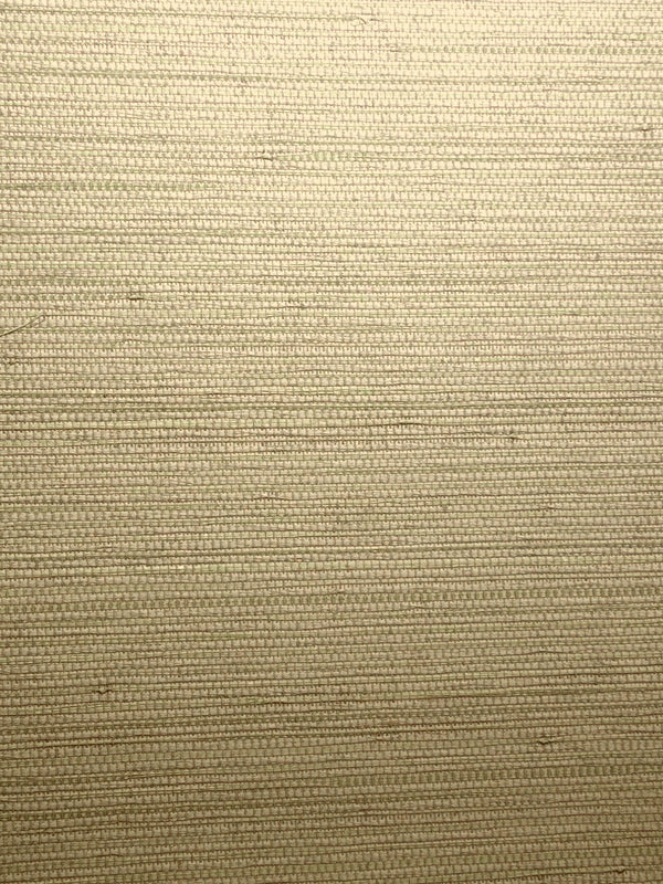 Rimini Weave Fern Grasscloth Wallcovering | Fentucci