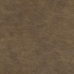 Kralendijk - Driftwood Vegan Leather | Phillipe Romano