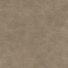 Kralendijk - Greige Vegan Leather | Phillipe Romano