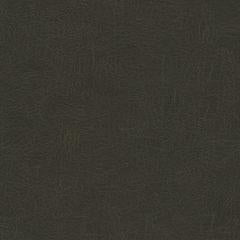 Alamo - Earthy Umber