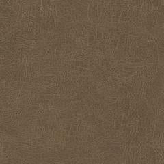 Antigua - Tawny | Architectural Fabrics