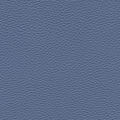 Algiers - Denim Blue