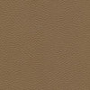 Algiers - Tawny Hide