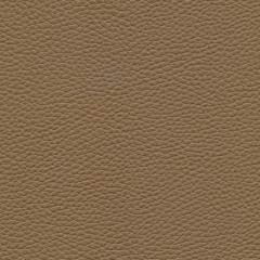 Algiers - Tawny Hide