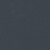 Algiers - Charcoal Teal