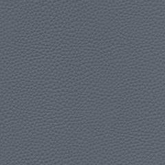 Algiers - Slate Blue