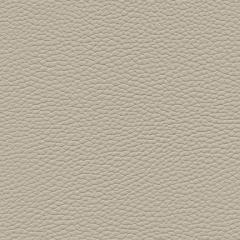 Algiers - Limestone