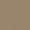 Algiers - Taupe