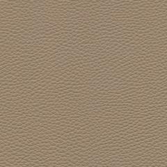 Algiers - Taupe