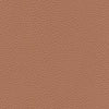Algiers - Terracotta