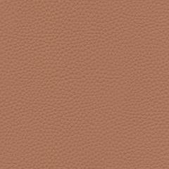 Algiers - Terracotta