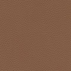 Algiers - Sienna Earth