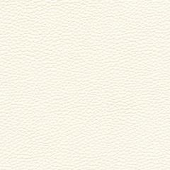 Anguilla - Ivory Vegan Leather | Phillipe Romano
