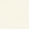 Algiers - Ivory Parchment