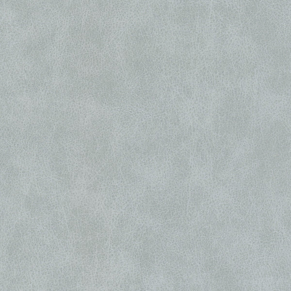 Kralendijk - Silver Vegan Leather | Phillipe Romano