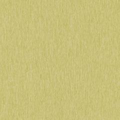 Hampton - Lime Indoor/Outdoor Vinyl | Phillipe Romano