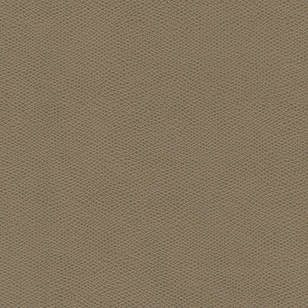 Kaloong - Stone Vegan Leather | Phillipe Romano