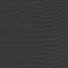 Nile - Pitch Graffiti-Free Vinyl | Phillipe Romano