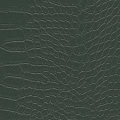 Nile - Spruce Graffiti-Free Vinyl | Phillipe Romano