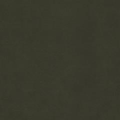 Polido - Hunter Vegan Leather | Phillipe Romano