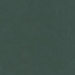 Ranger - Jungle Vegan Leather - New Colors | Phillipe Romano