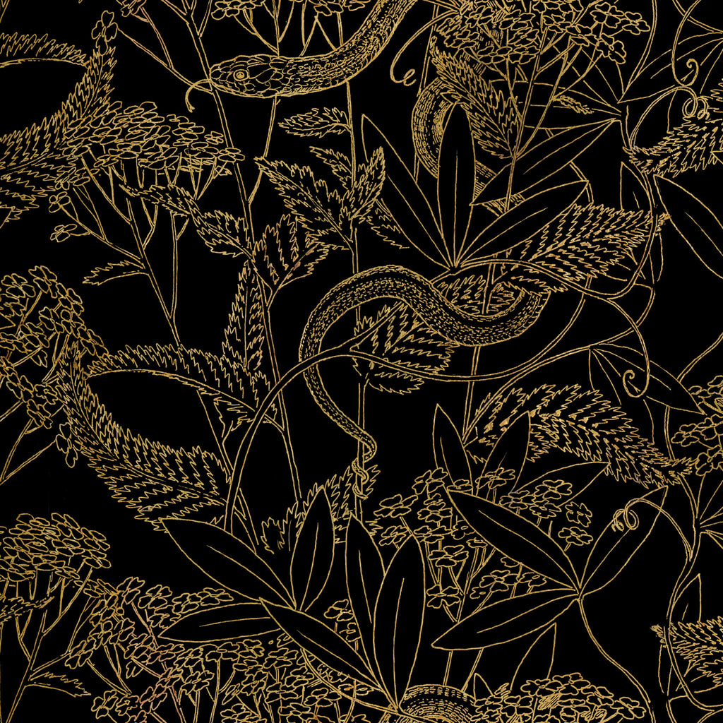 Garden Snake Black