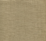 Ghent, Pale Camel