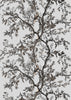 Golden Oriole Wallcovering Carrara White