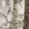 Golden Oriole Velvet Black & Gold on Sage