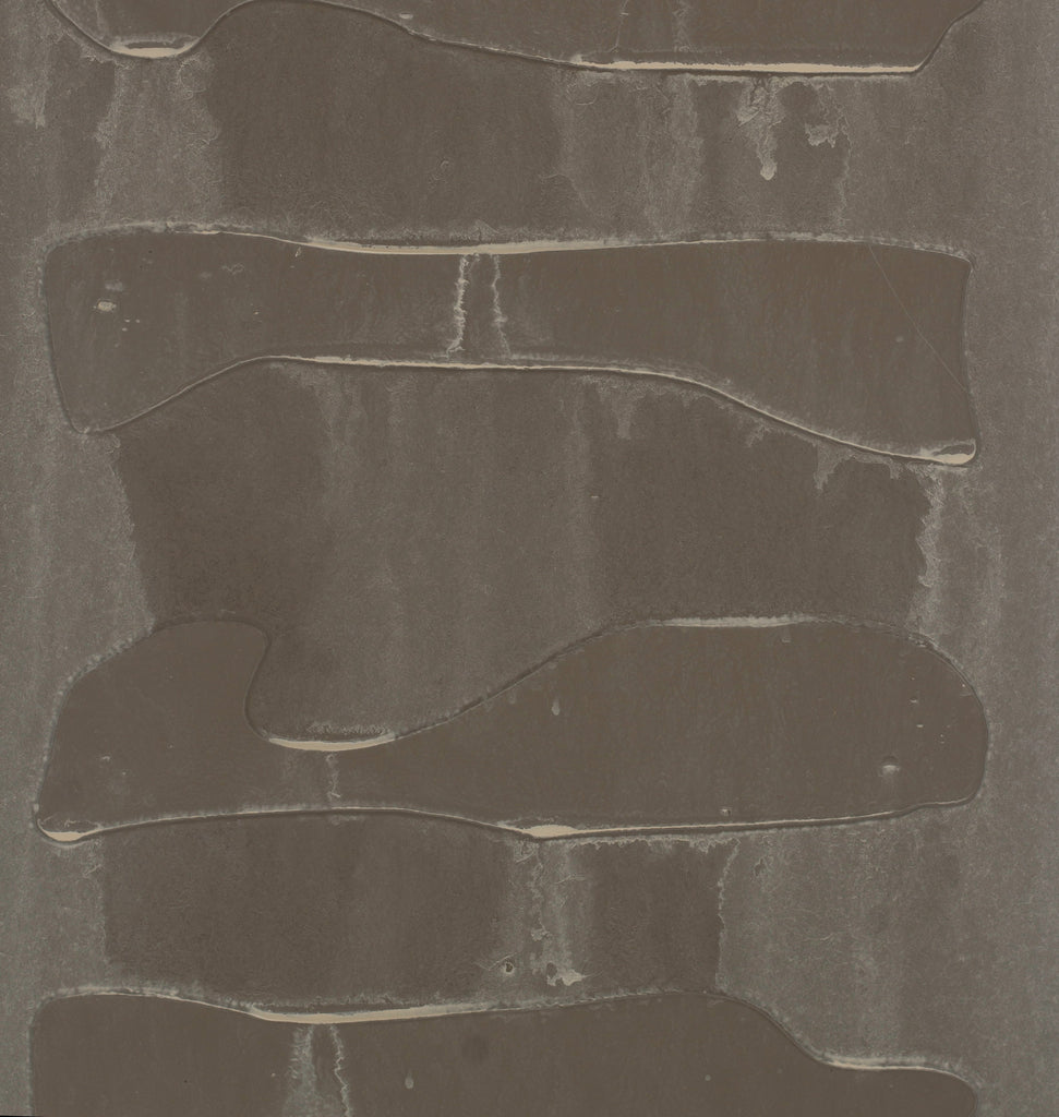 Gradiens Remnant