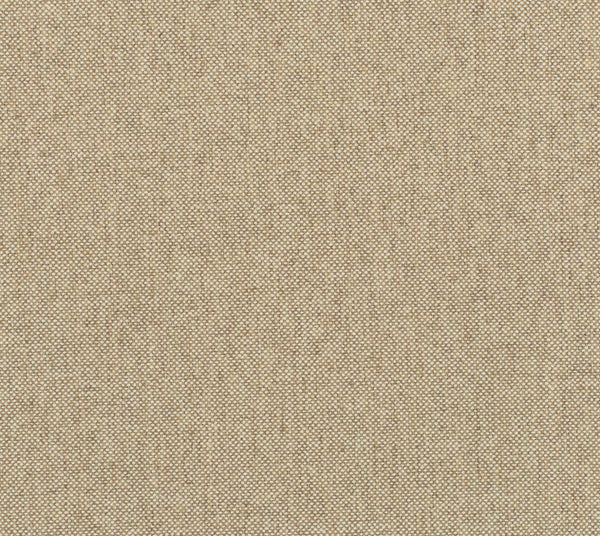 Coconut - Llama | Commercial Fabric | Los Angeles Fabrics