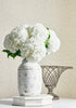 Room setting - T72861