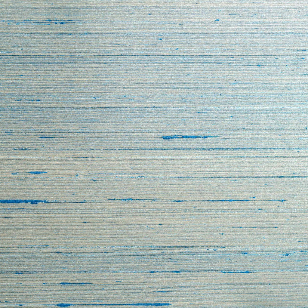 Perruche Plain