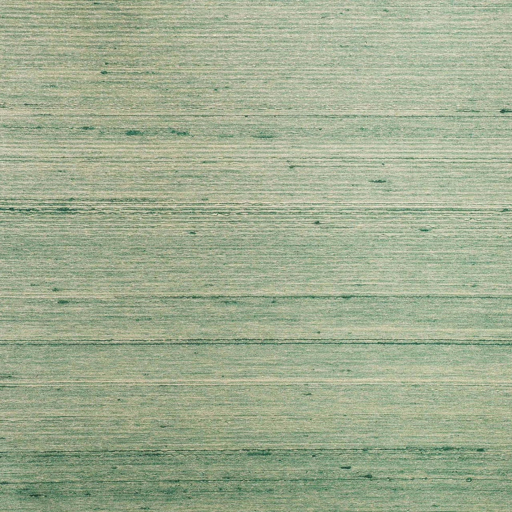 Conure Plain